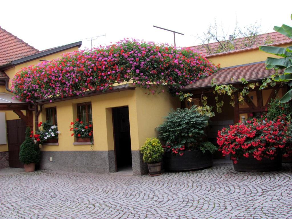 Gite Fruehmess Itterswiller Buitenkant foto